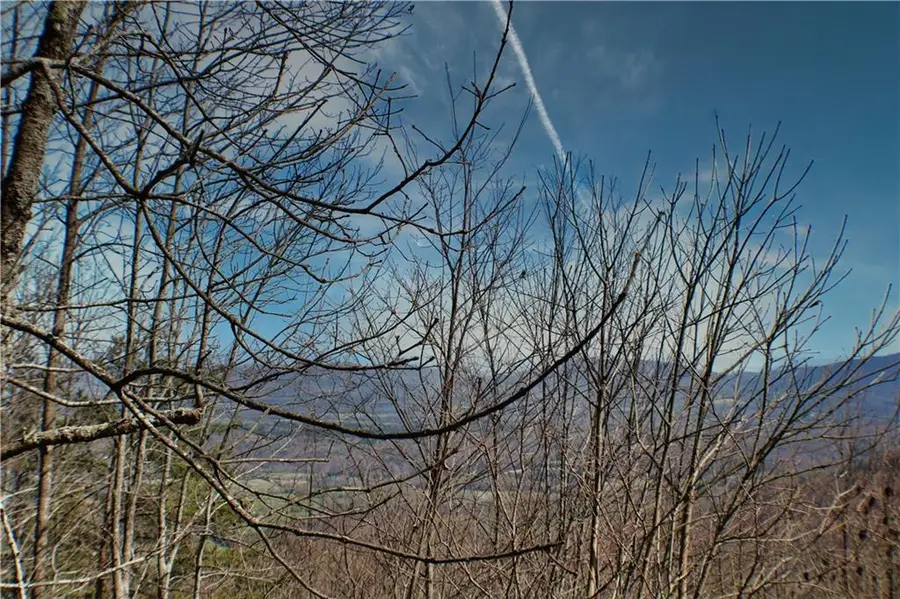 0 157 Highway, Rising Fawn, GA 30738 - #2