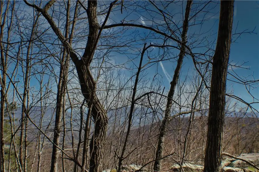 0 157 Highway, Rising Fawn, GA 30738 - #3