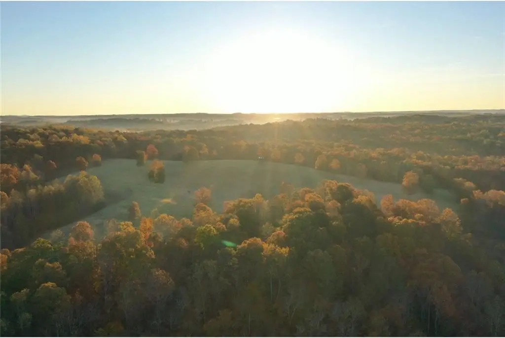 2320 Hardman Road, Clarkesville, GA 30523 - #1