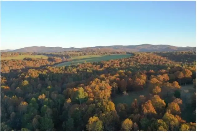 2320 Hardman Road, Clarkesville, GA 30523 - #3