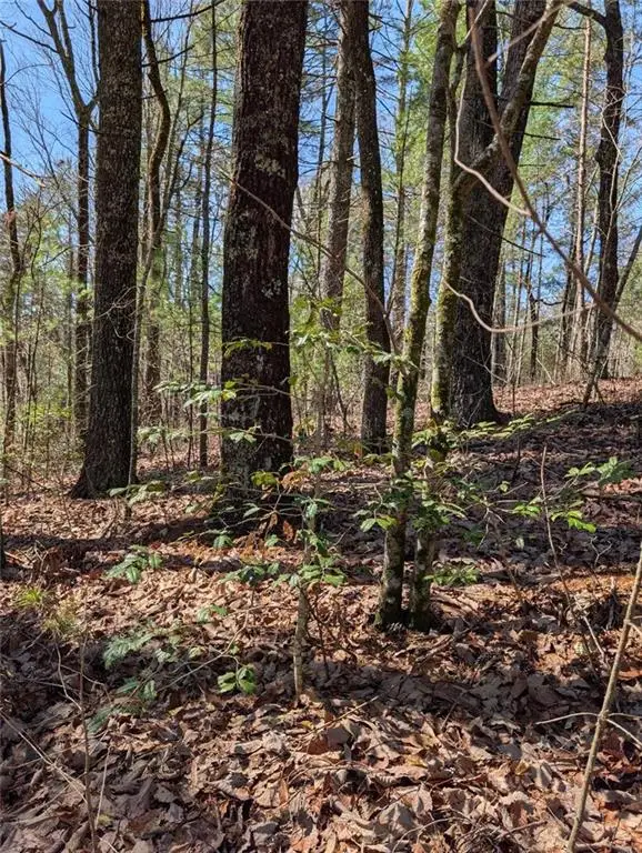 0 Amber Lane, Ellijay, GA 30540 - #1