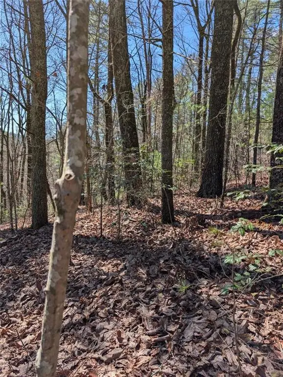 0 Amber Lane, Ellijay, GA 30540 - #2