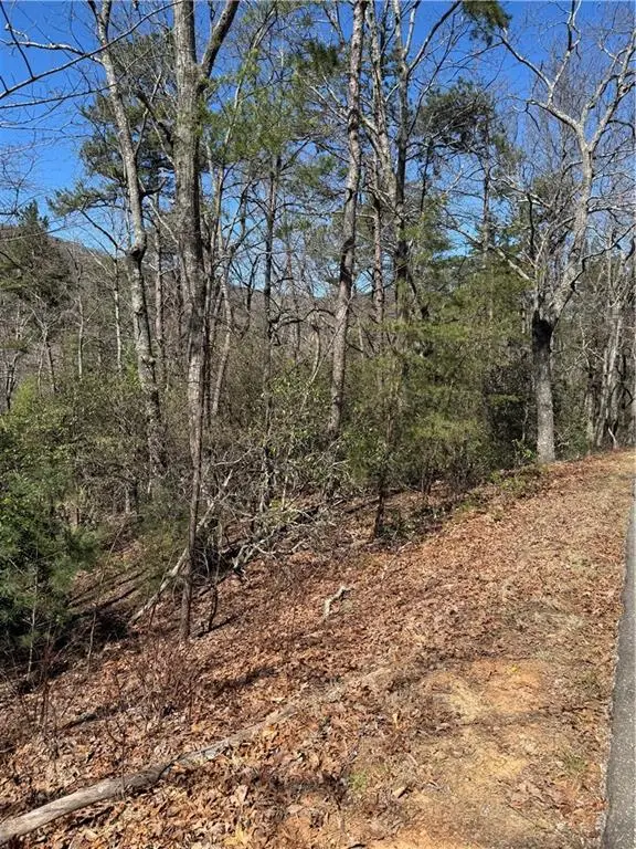 5504 Red Fox Drive, Big Canoe, GA 30143 - #2