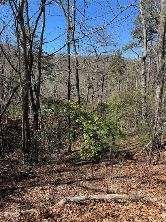 5504 Red Fox Drive, Big Canoe, GA 30143 - #3