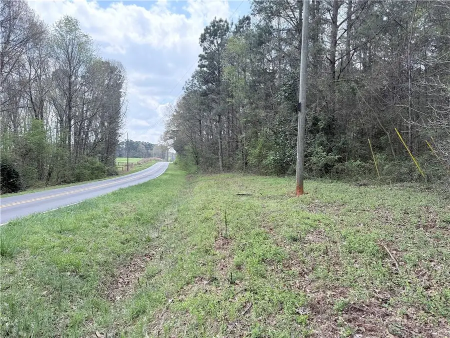 00 Old Columbus Road, Bowdon, GA 30108 - #2