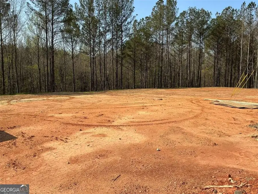 288 White Creek Loop, Rockmart, GA 30153 - #3