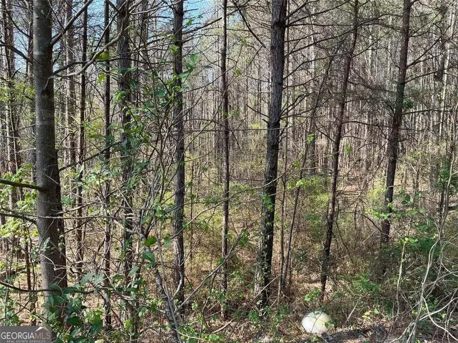 262 White Creek Loop, Rockmart, GA 30153 - #2