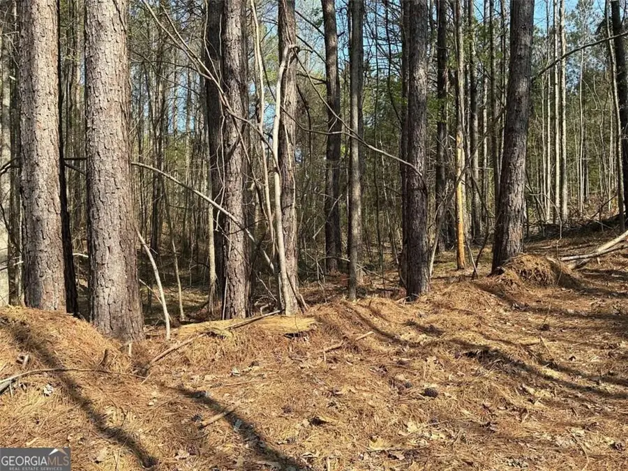 262 White Creek Loop, Rockmart, GA 30153 - #3