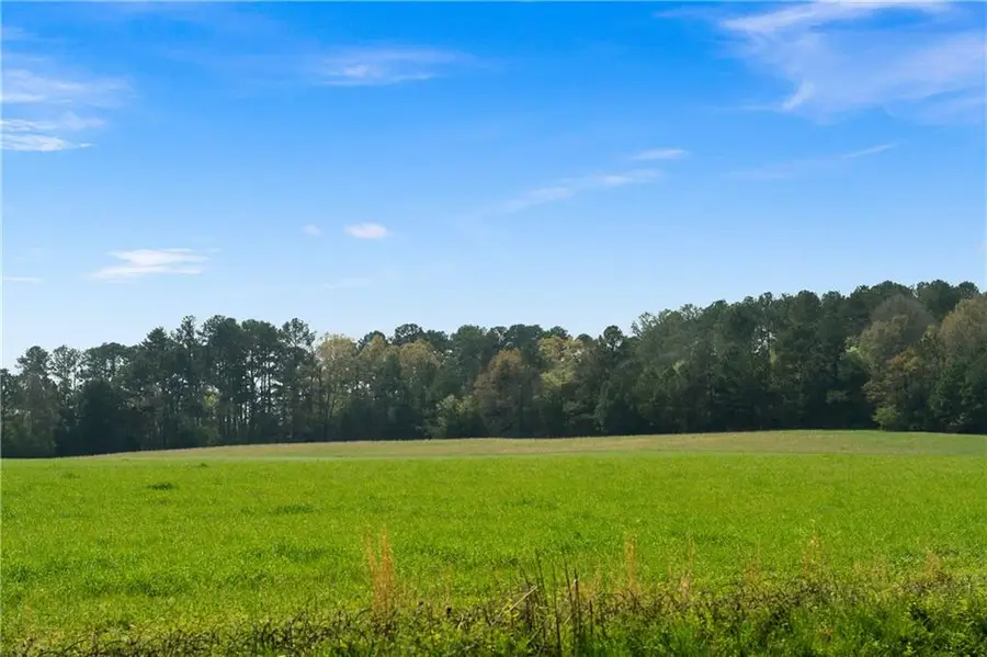 0 Miller Farm Rd - Tract 1 Road, Taylorsville, GA 30178 - #2