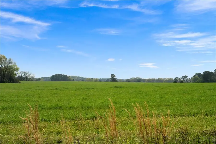 0 Miller Farm Rd - Tract 1 Road, Taylorsville, GA 30178 - #3