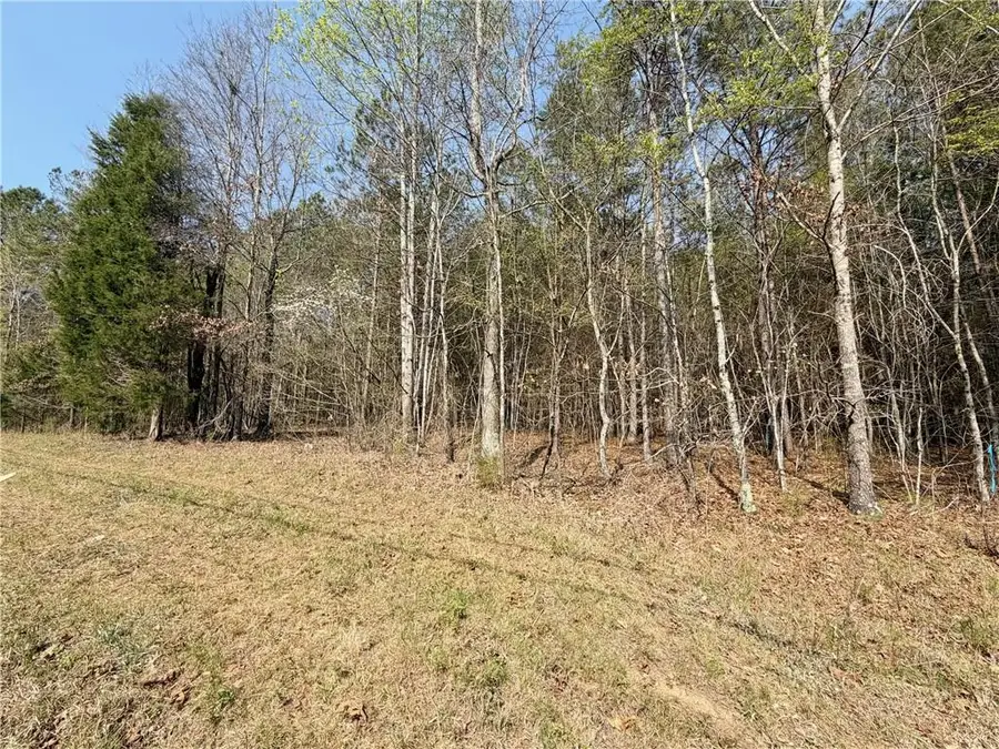 Tract9 Law Road, Cartersville, GA 30120 - #2