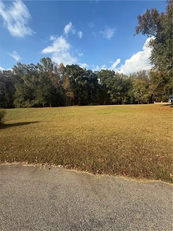 210 River Meadow Lane, Social Circle, GA 30025 - #3