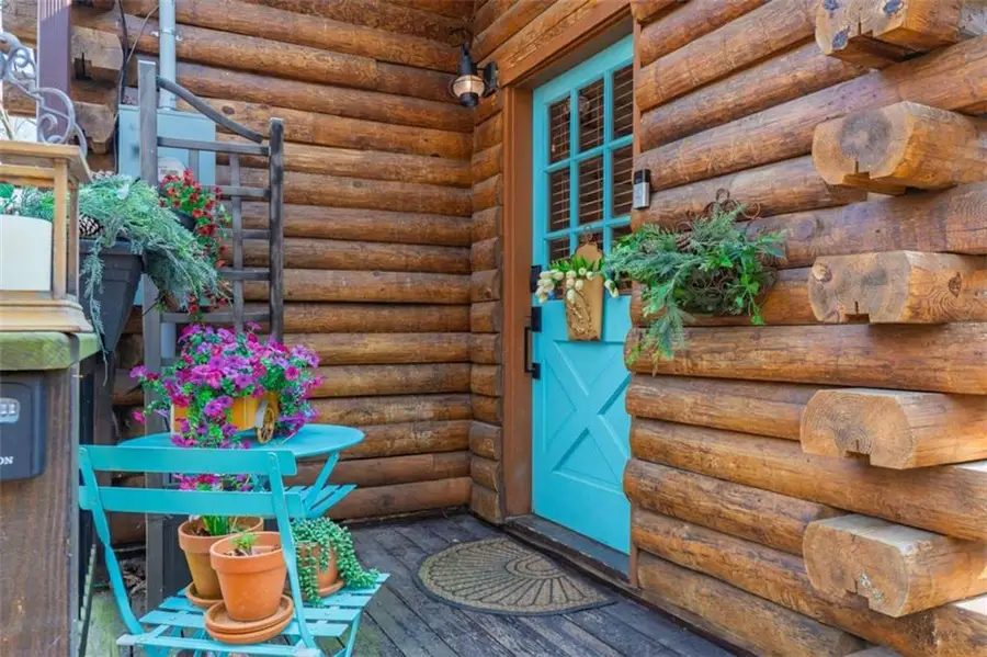 334 Cherokee Trail, Ellijay, GA 30540 - #3