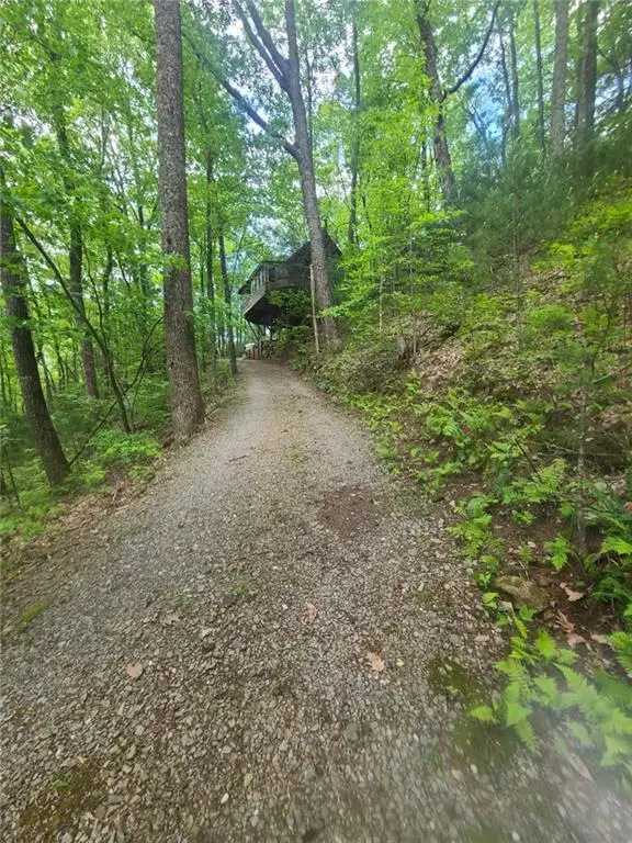 136 Little Rock Creek Trail, Cherry Log, GA 30522 - #3