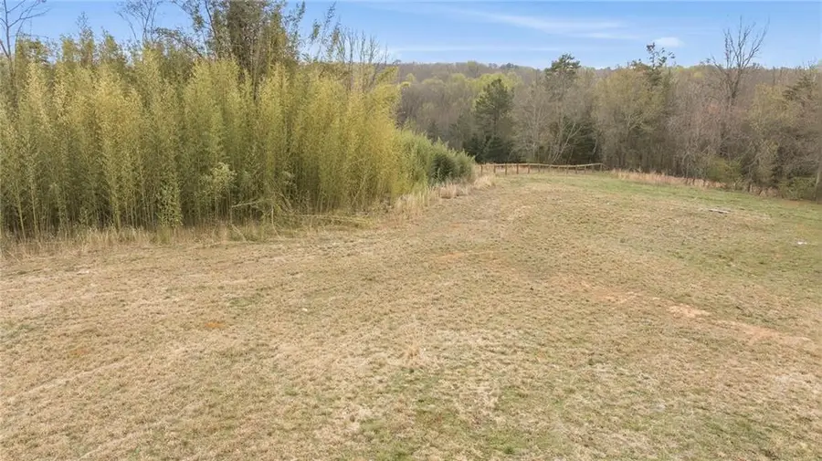 336 Mineral Springs Trail, Demorest, GA 30535 - #3