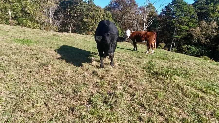 0 Porter Springs Road, Dahlonega, GA 30533 - #3