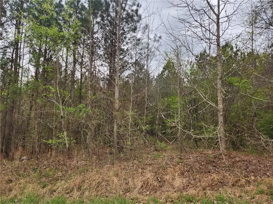 0 Glen Helton Road, Temple, GA 30179 - #2