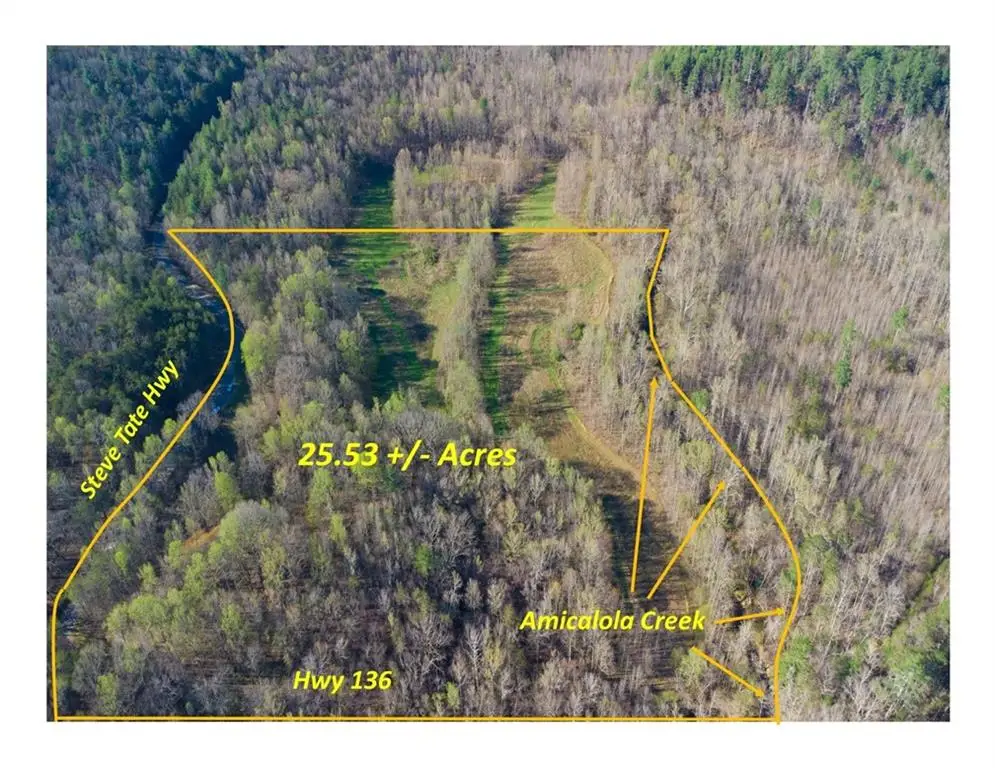 9031 Steve Tate Highway, Dawsonville, GA 30534 - #1