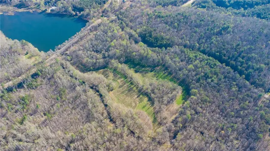 9031 Steve Tate Highway, Dawsonville, GA 30534 - #3
