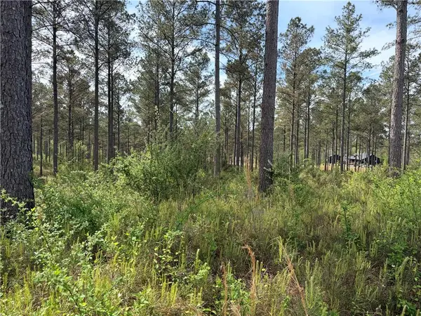 108 High River Crossing Rd, Ellijay, GA 30540