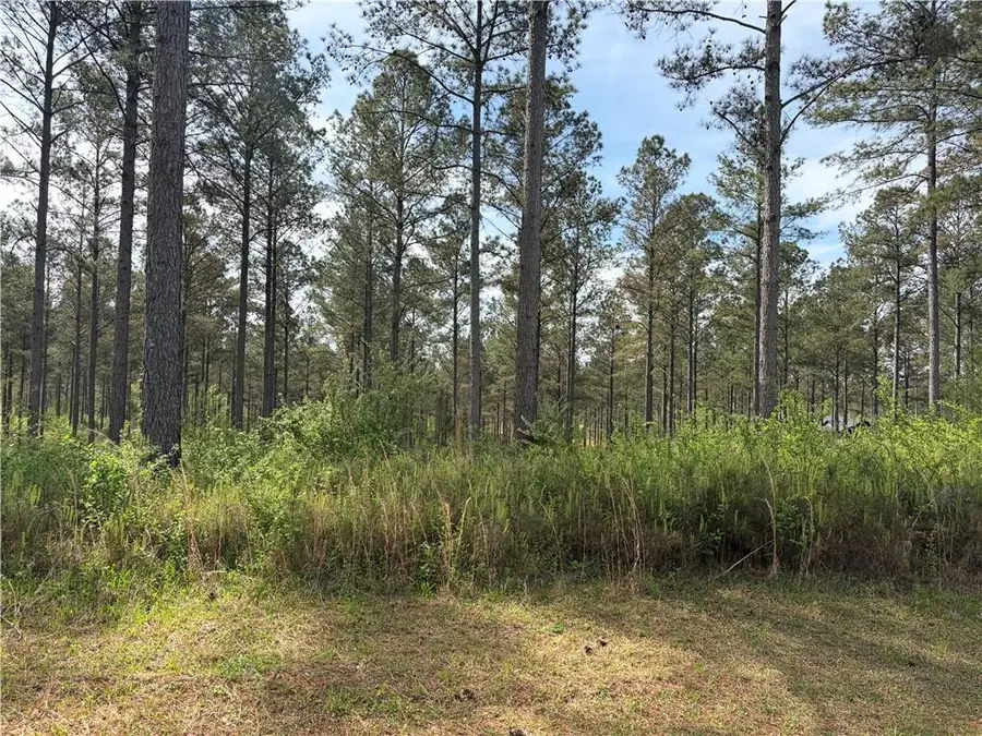 108 High River Crossing Rd, Ellijay, GA 30540 - #2