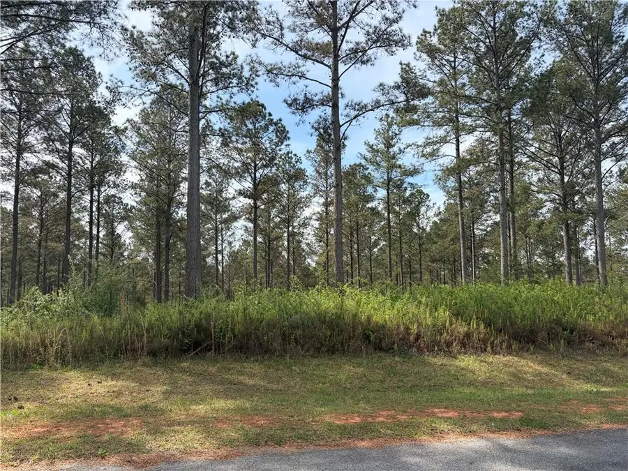 108 High River Crossing Rd, Ellijay, GA 30540 - #3