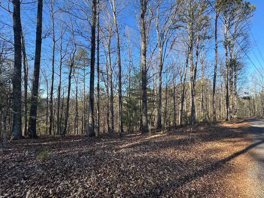 0 Rebekah Ridge, Talking Rock, GA 30175 - #2