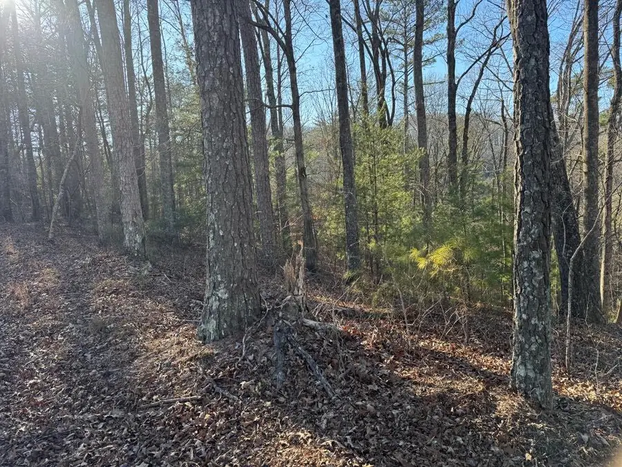 0 Rebekah Ridge, Talking Rock, GA 30175 - #3