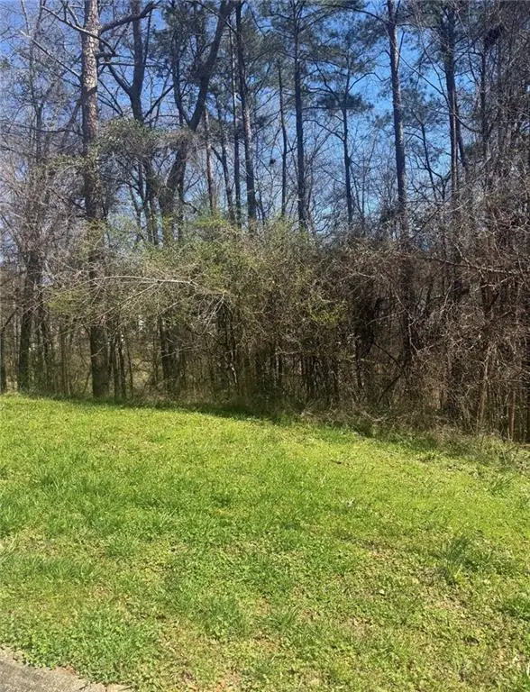 3740 Mountain Cove Road, Snellville, GA 30039 - #1