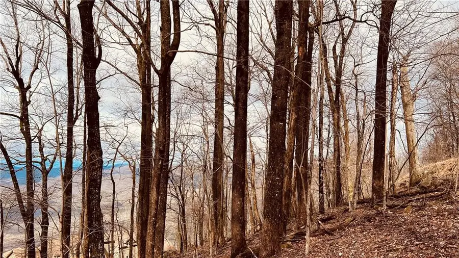 280 Big Stump Mountain Trail, Jasper, GA 30143 - #2