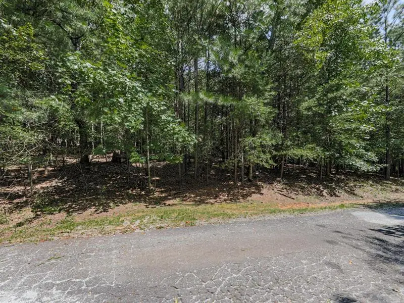 140 Joe Green Lane, Canton, GA 30114 - #3