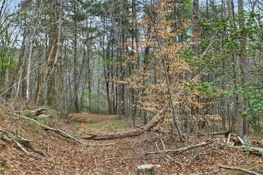 1812 Upper Bethany Rd., Ball Ground, GA 30107 - #3