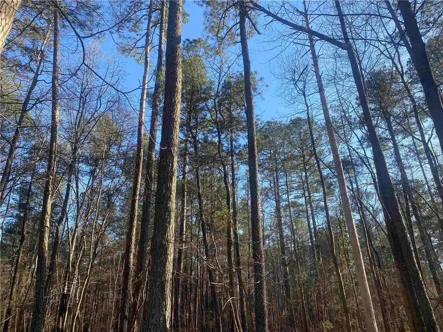 0 Corinth Five Points Rd, Buchanan, GA 30113 - #2