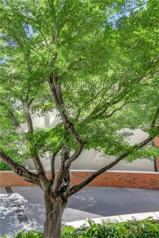 2626 Peachtree Road Nw #412, Atlanta, GA 30305 - #3