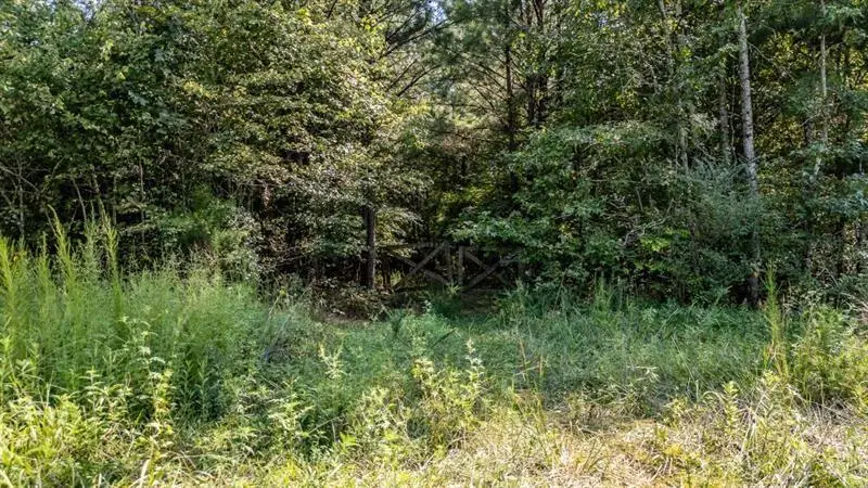 0 Clement Road, La Fayette, GA 30728 - #2