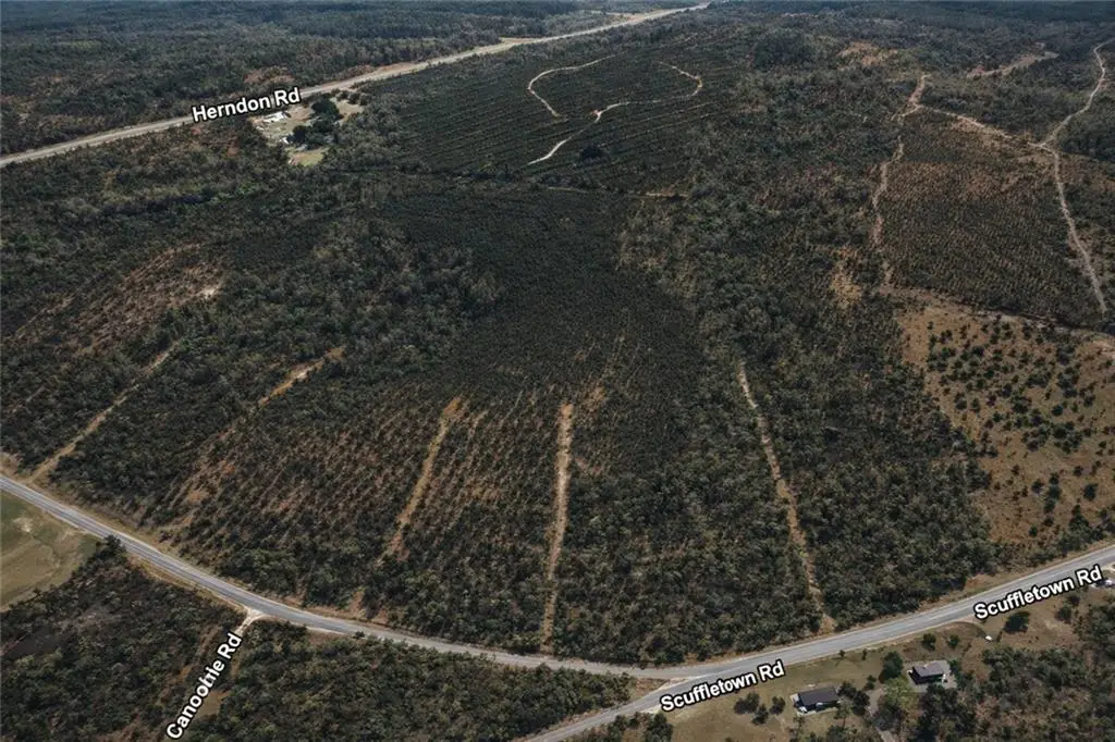 0 Scuffletown Road, Garfield, GA 30425 - #1