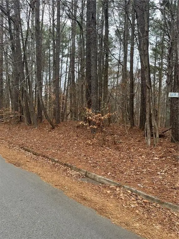 LOT 3 Lake Esther Drive, Fairburn, GA 30213 - #2