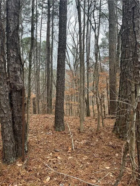 LOT 3 Lake Esther Drive, Fairburn, GA 30213 - #3