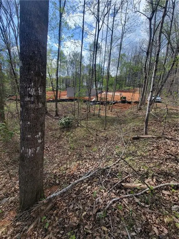 Address Withheld By Seller, Gainesville, GA 30506 - #2