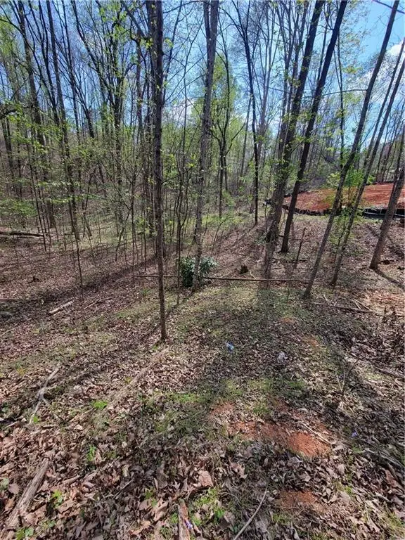 Address Withheld By Seller, Gainesville, GA 30506 - #3