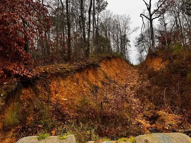 000 Talona Road, Talking Rock, GA 30175 - #2