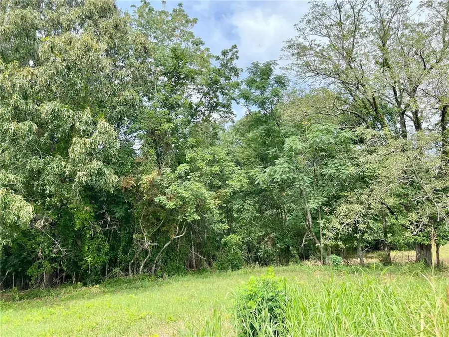 142 Daniel Ridge Sw, Cartersville, GA 30120 - #2