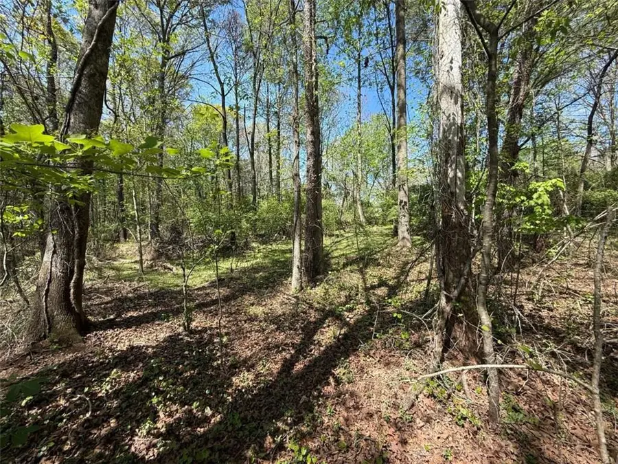 0 Panhandler Circle (2b), Maysville, GA 30558 - #3