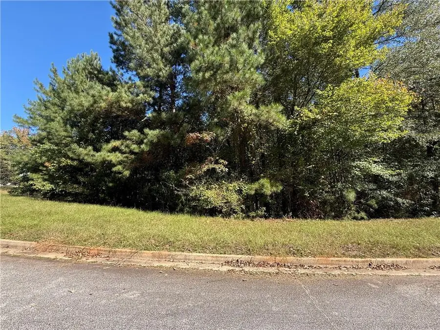 1333 Nickel Oak Bend, McDonough, GA 30252 - #3