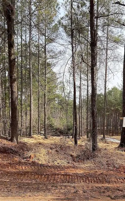 LOT 5 Jaxon Path, Dallas, GA 30157 - #1