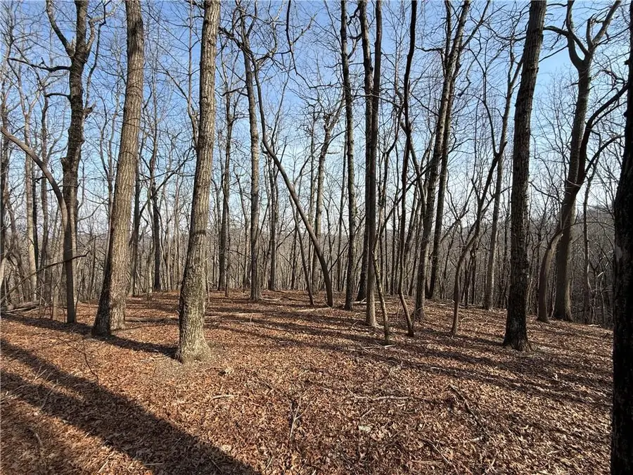 0 Burnt Mtn Cove Road, Jasper, GA 30143 - #2