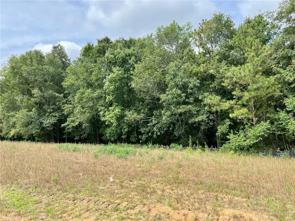 128 Daniel Ridge Sw, Cartersville, GA 30120 - #1