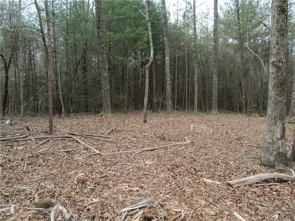 3 AC East New Hope Road, Ellijay, GA 30536