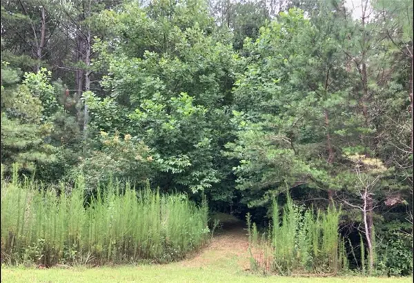 Lot 37 Eastside Drive, Ellijay, GA 30536