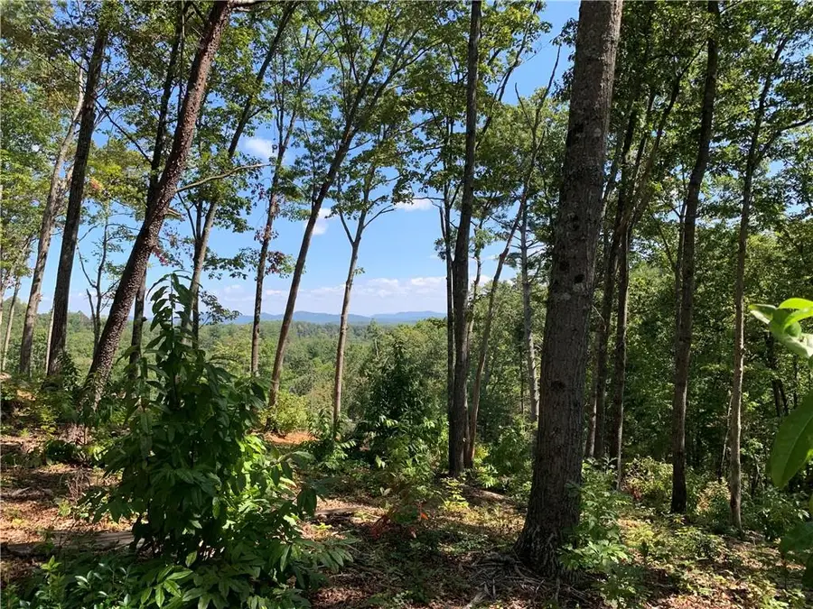 0 White Oak Cir, Blue Ridge, GA 30513 - #3